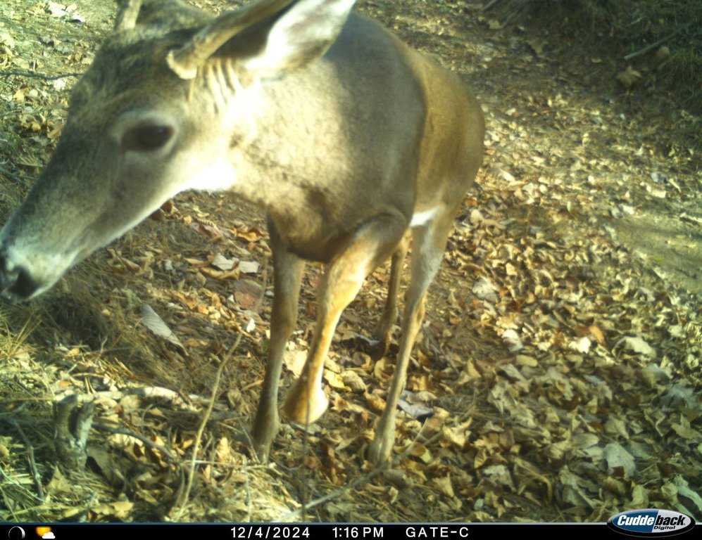 Picture 16