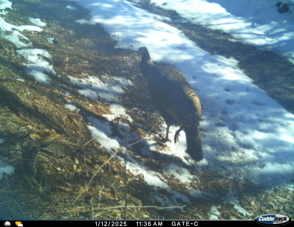 Picture 17