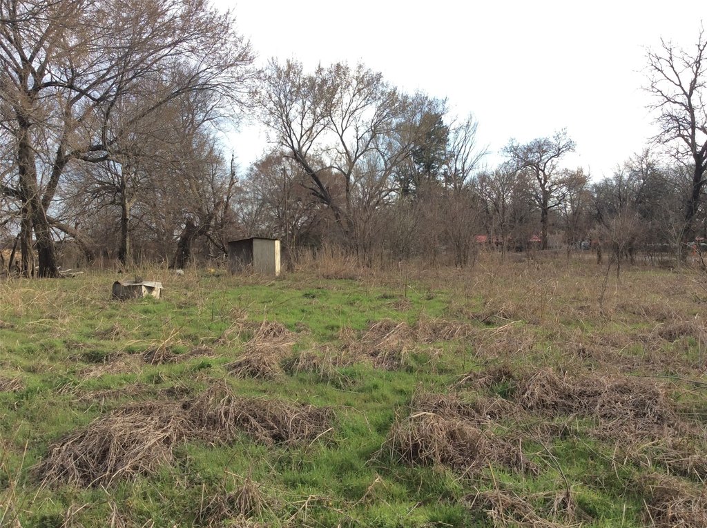 Picture 6