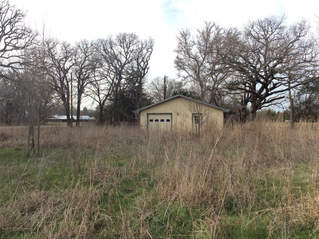 Picture 5