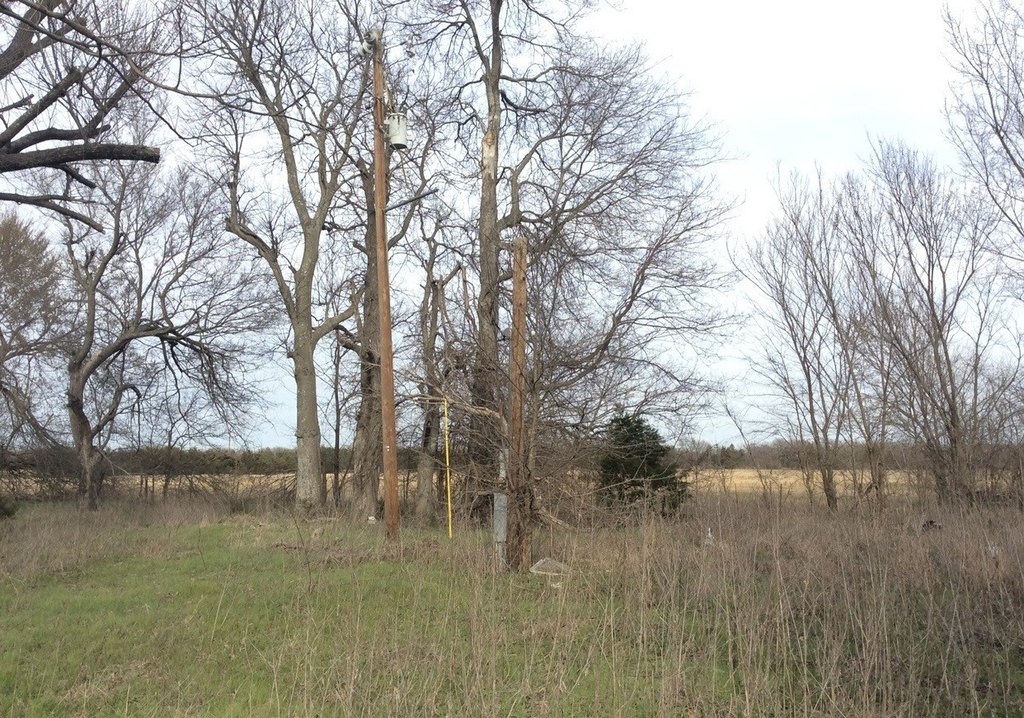 Picture 16