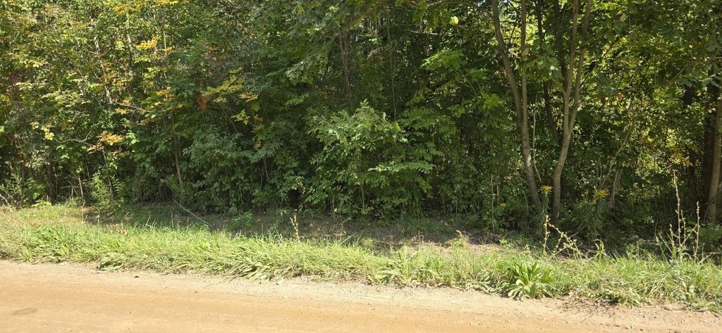 Picture 6