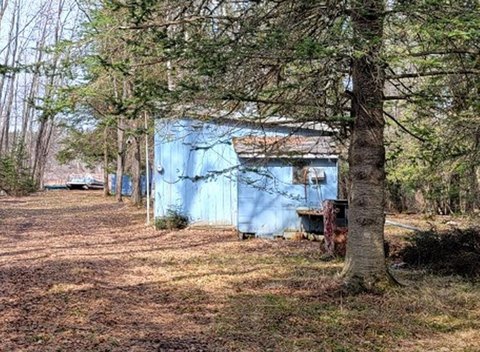Wooded Land Near Soo Lake