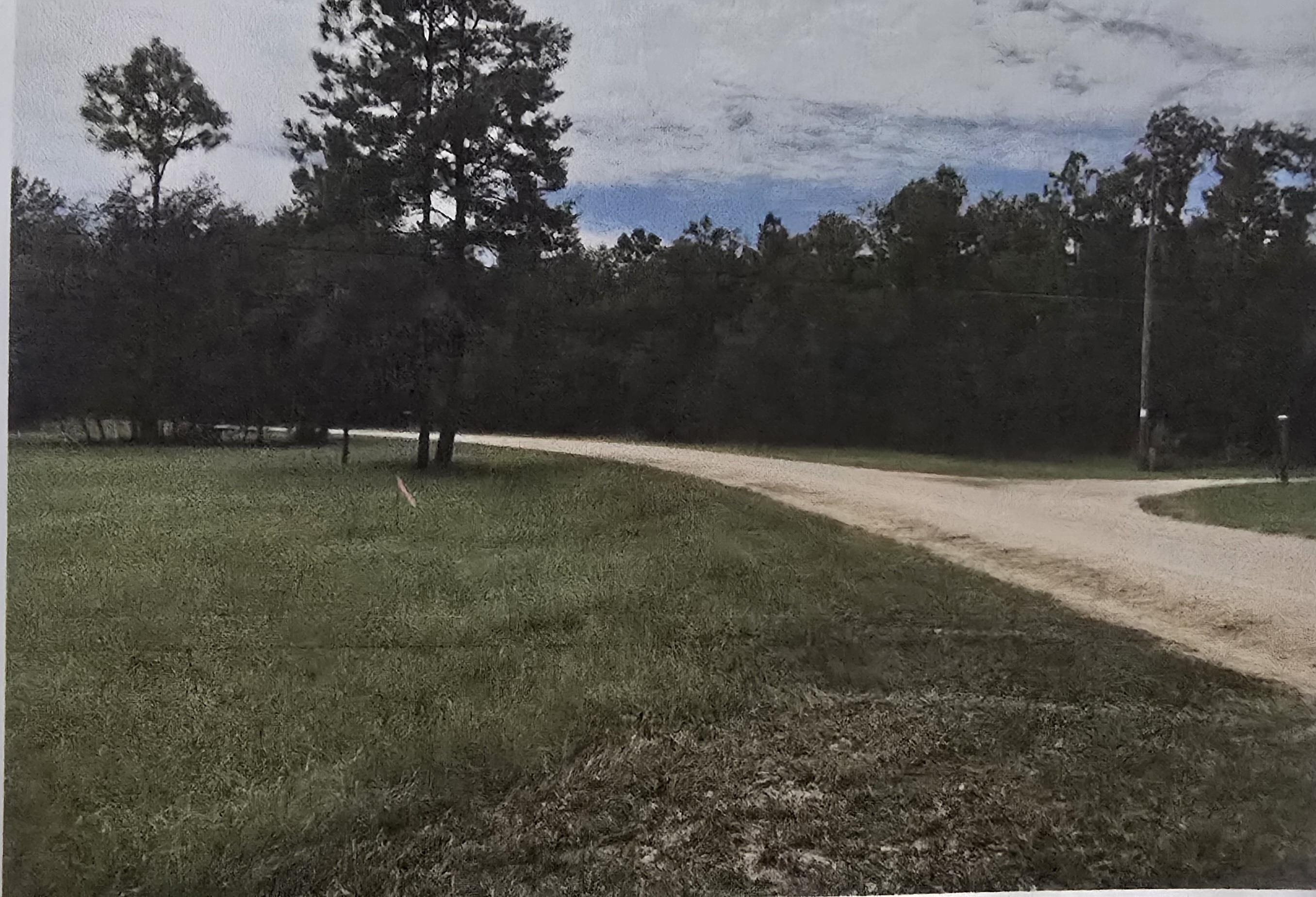 Land Ready For Dream Home