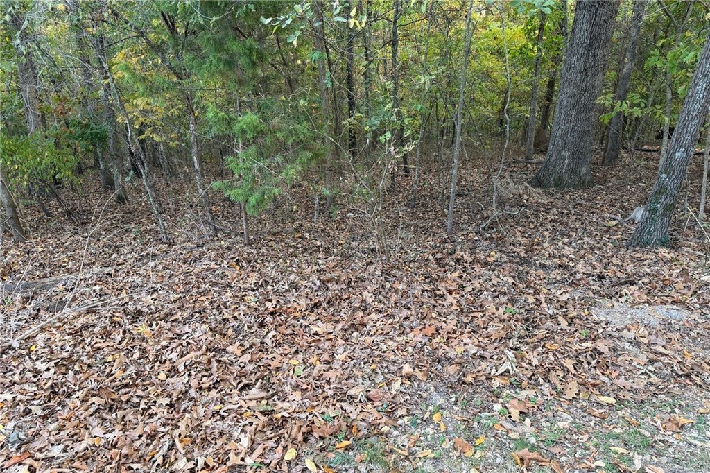 Picture 4