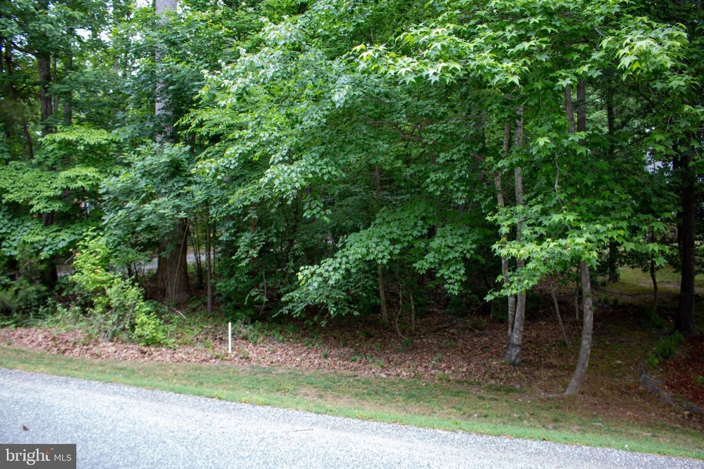 Picture 7