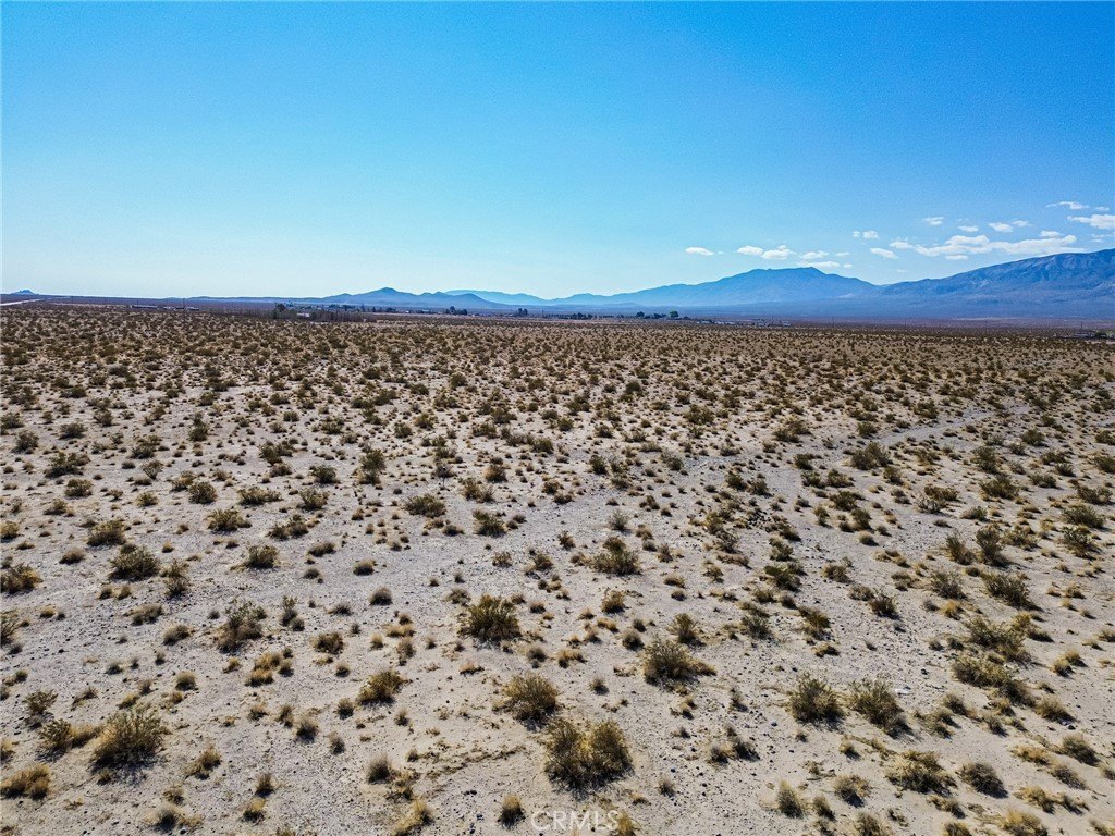 Picture 20