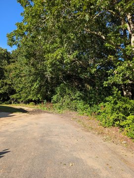 Land, West Yarmouth, MA