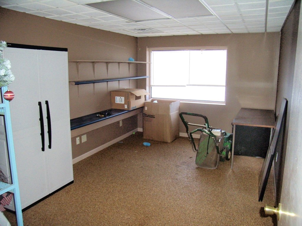 Picture 12