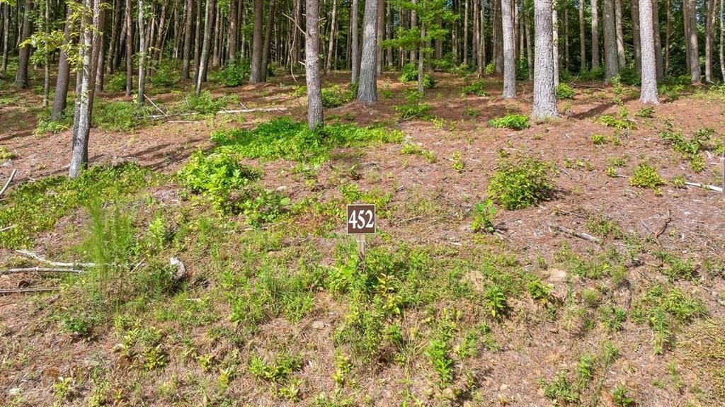 Talking Rock Vacant Homesite Opportunity