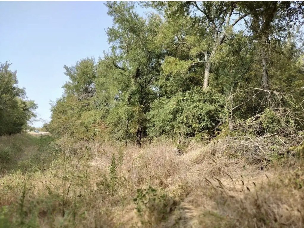 Picture 17