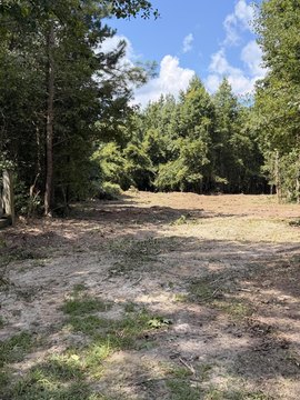 Land, Elgin, SC