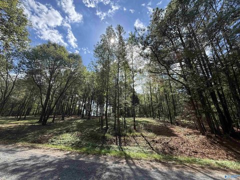 Residential Land in Vinemont, AL