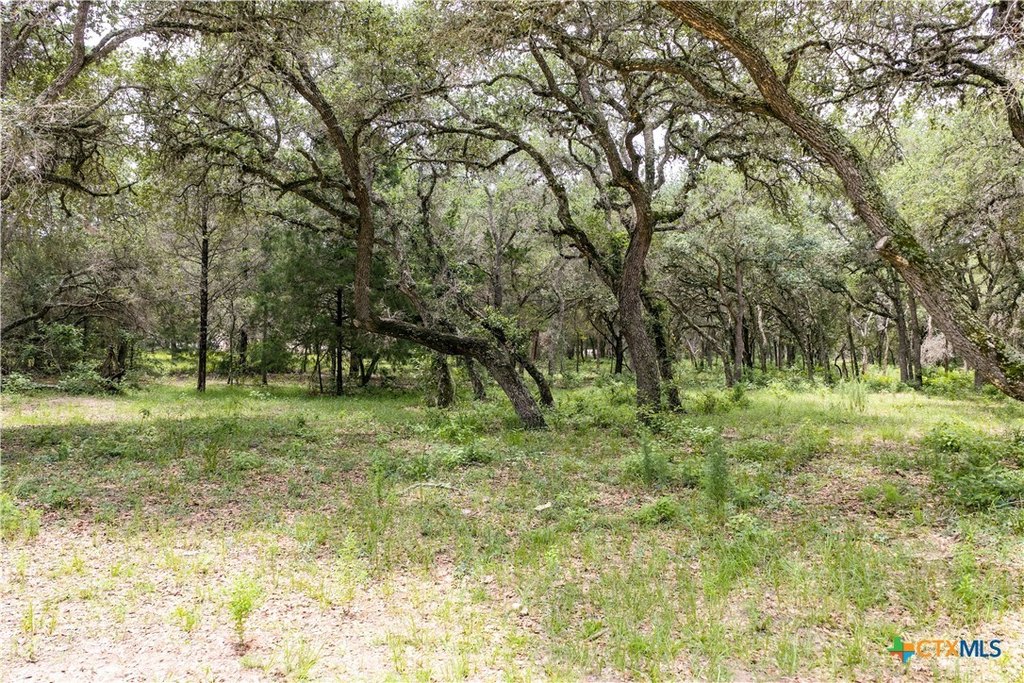 Picture 26