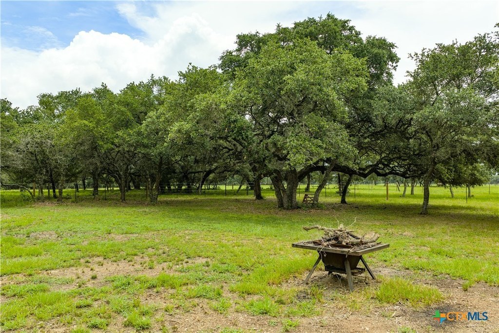 Picture 8