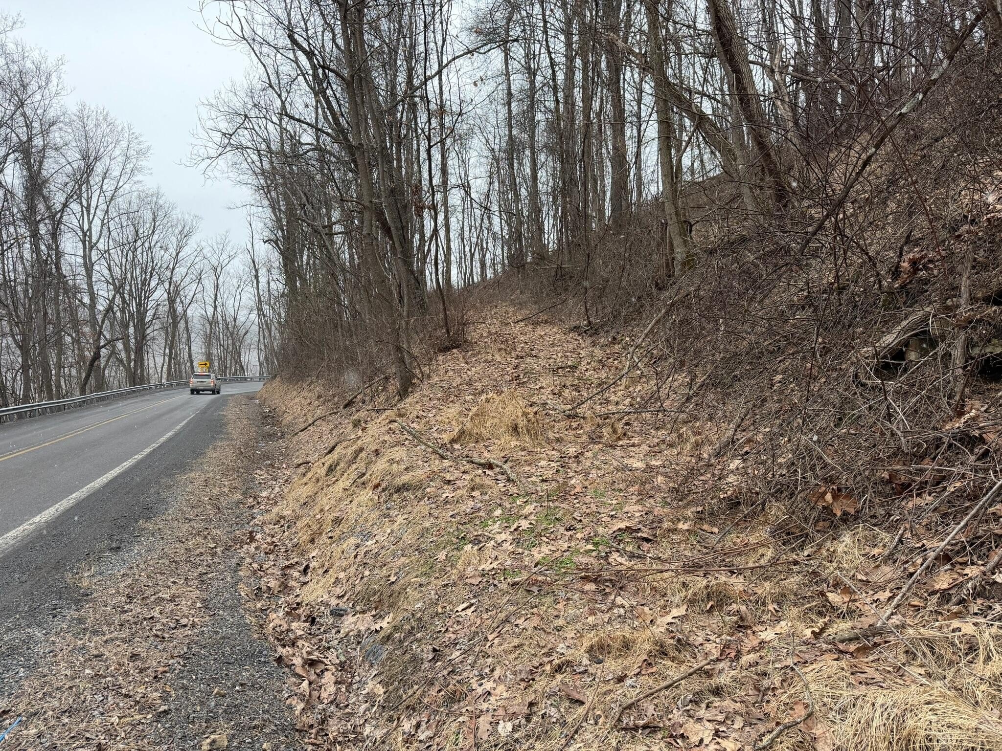 Renick, WV Wooded Land
