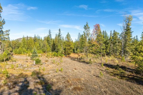 5-Acre Parcel in Newport, WA