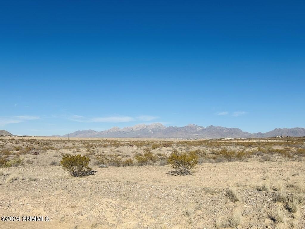 Picture 6
