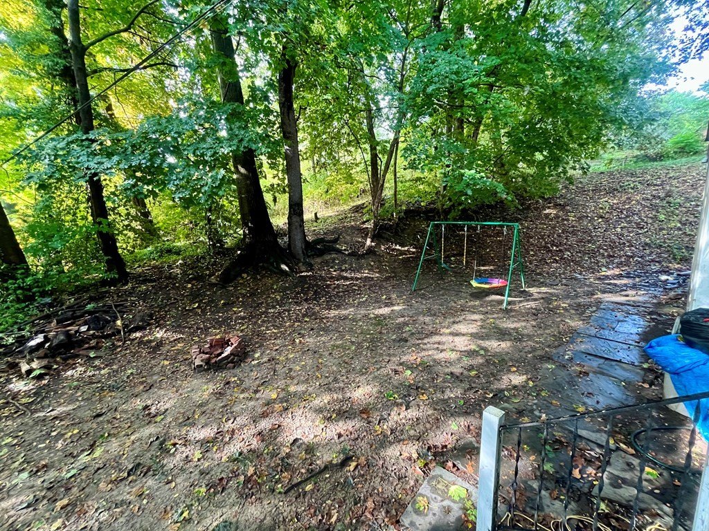 Picture 4