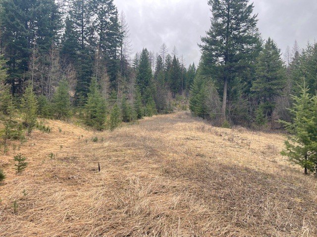 Picture 3