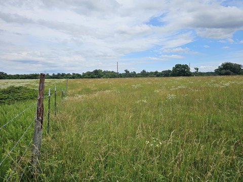 LAND - Goodman, MO