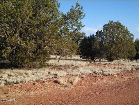 LAND - Seligman, AZ