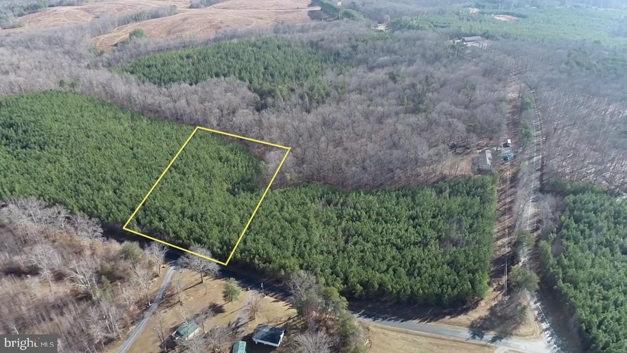 Arvonia Land with Loblolly Pines