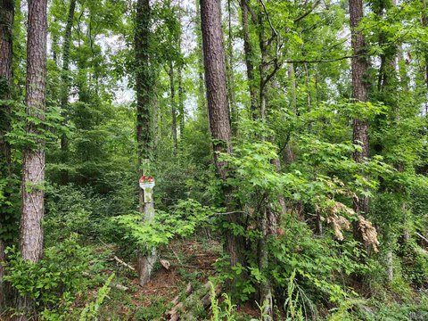 Land, Denham Springs, LA