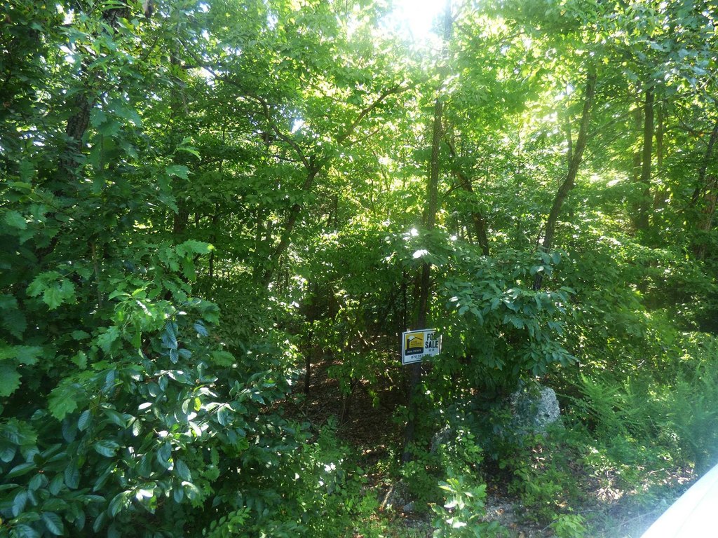 Picture 3