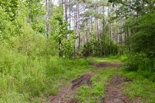 Picture 22