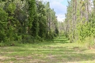 Picture 7