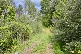 Picture 14