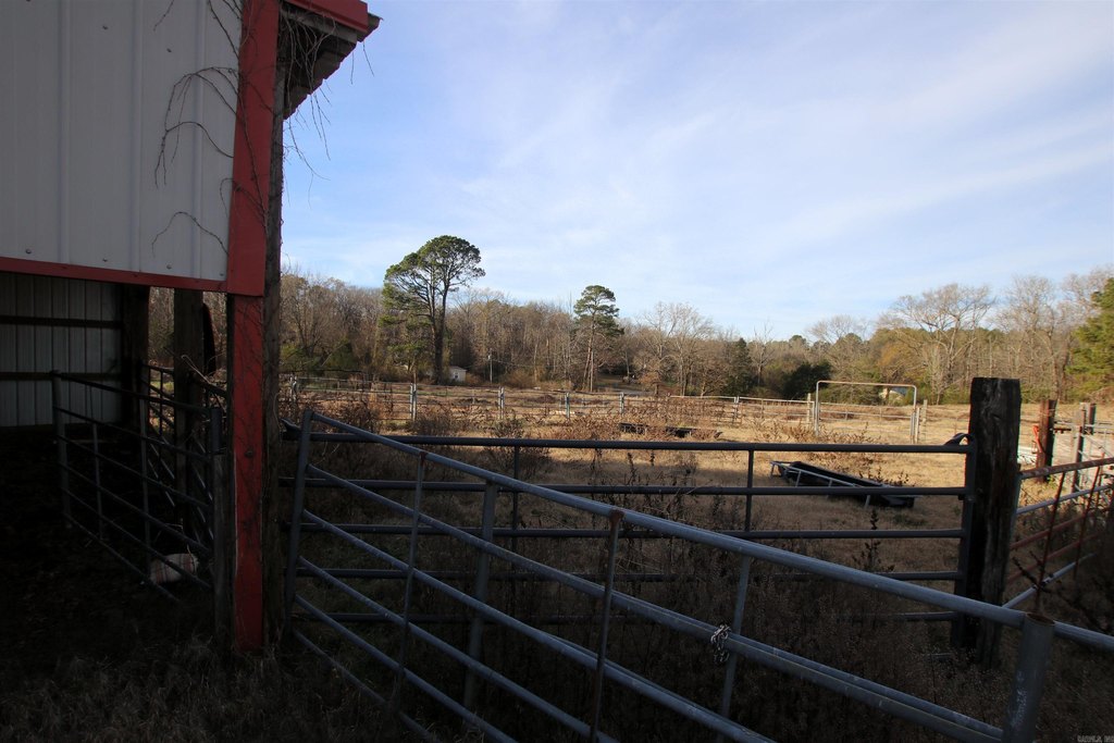Picture 19