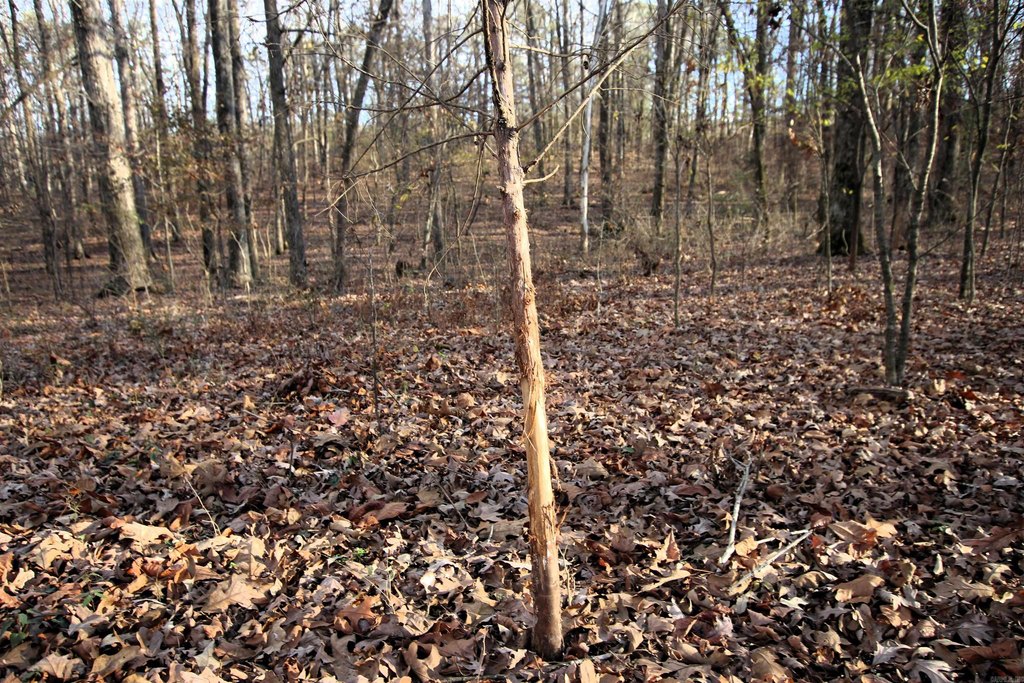 Picture 43