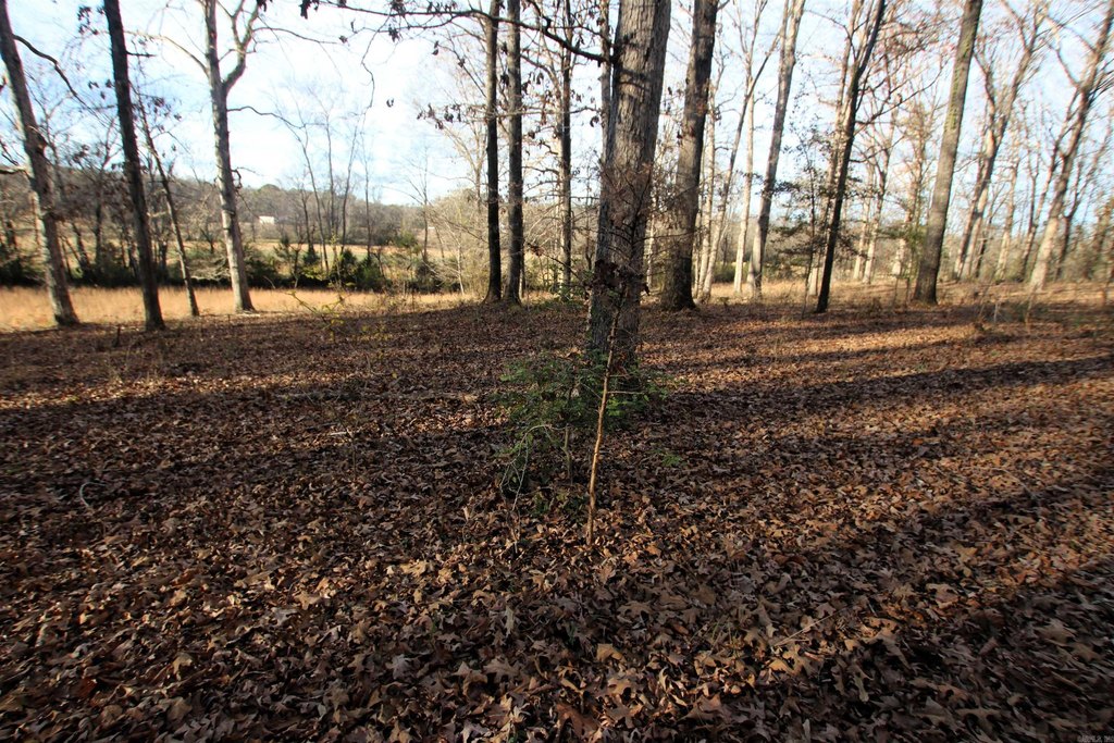 Picture 41