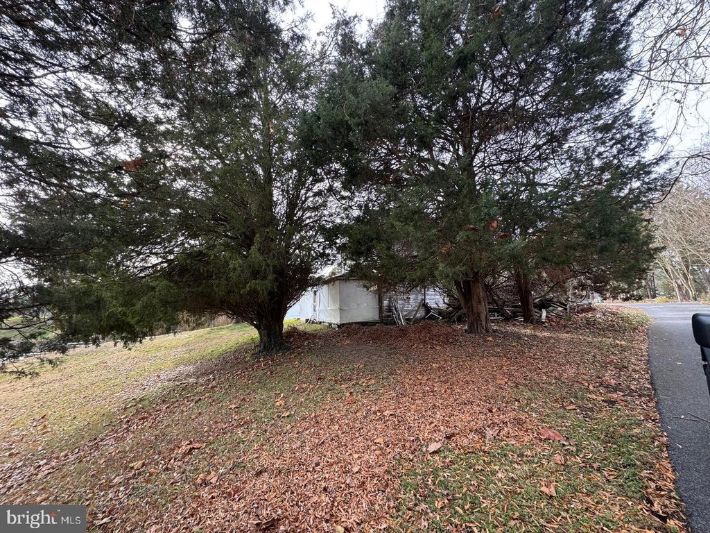 Picture 28