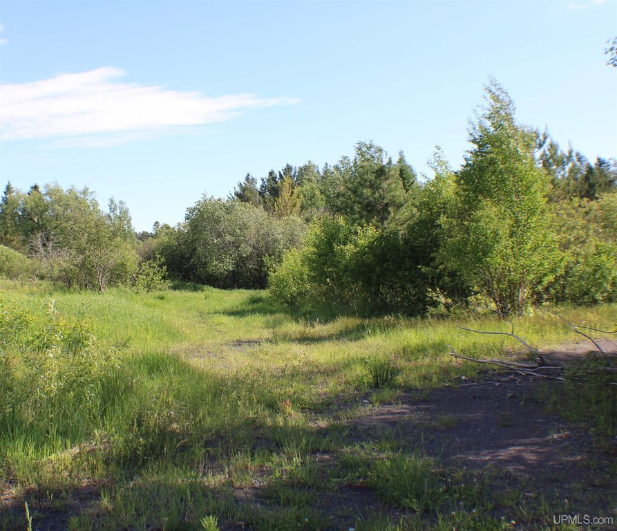 Picture 9