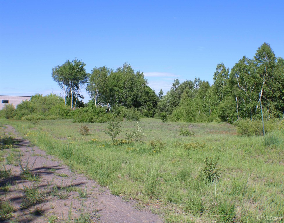Picture 13