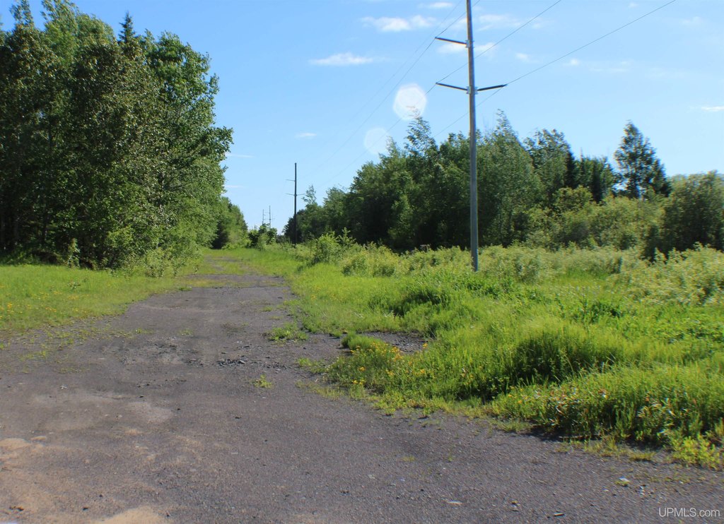 Picture 8