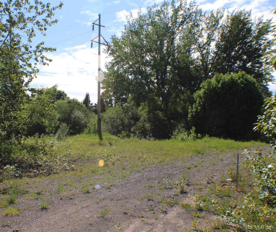Picture 17