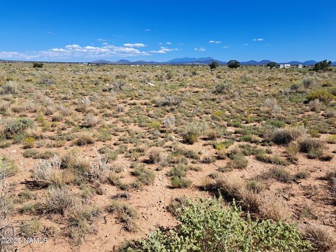 Valle, AZ Acre Lot