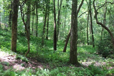 Vacant Land in Gated Mountain Community