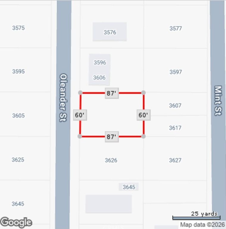 Picture 7