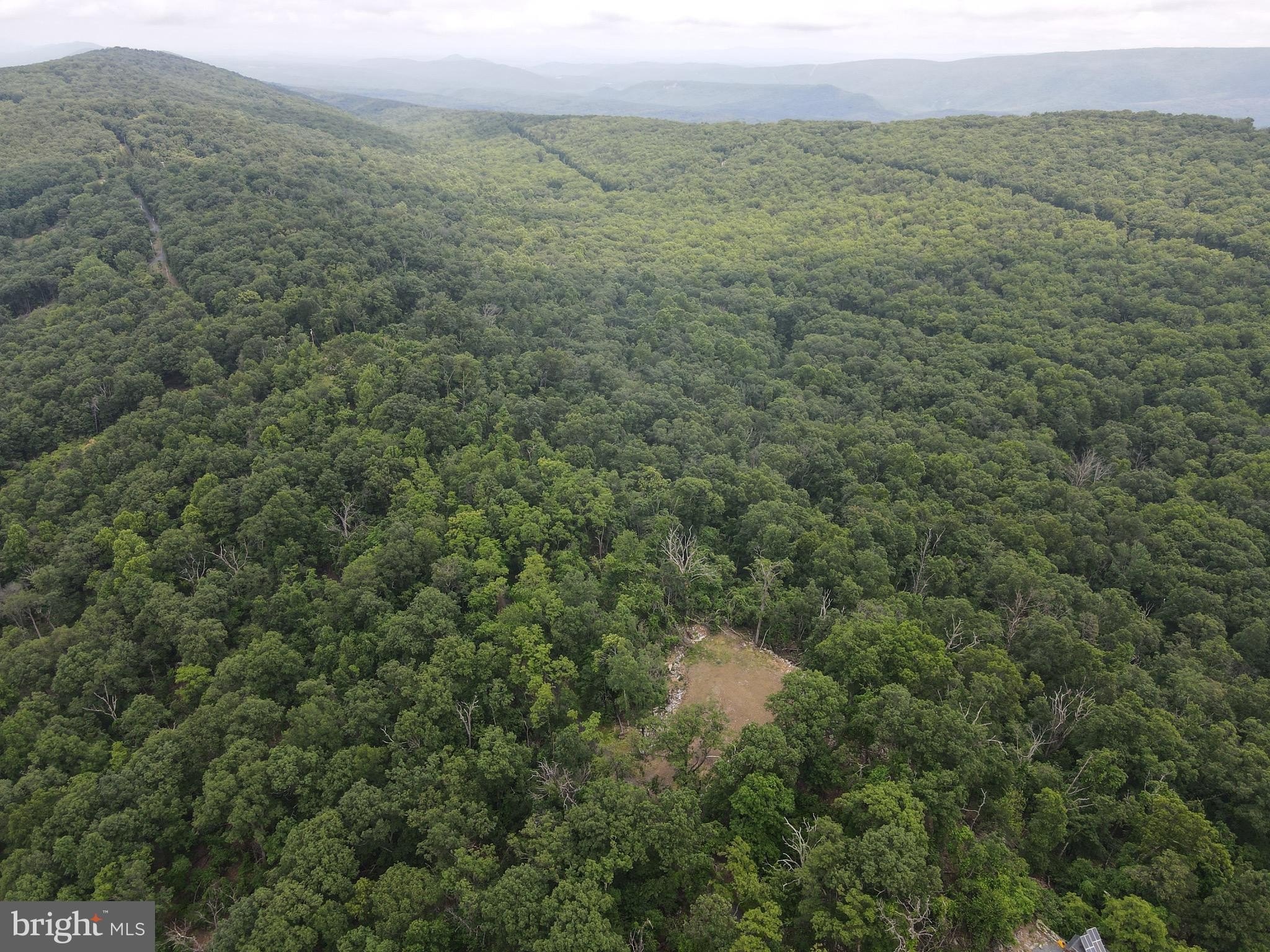 Cleared Land in Great Cacapon