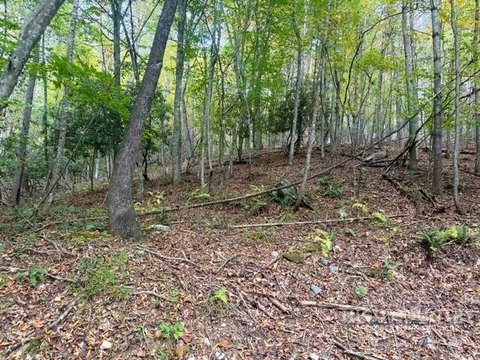 Land, Grassy Creek, NC