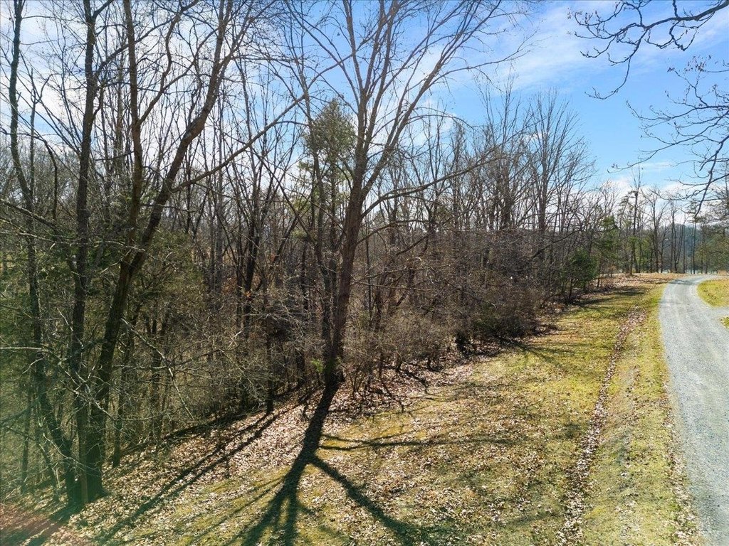 Picture 25