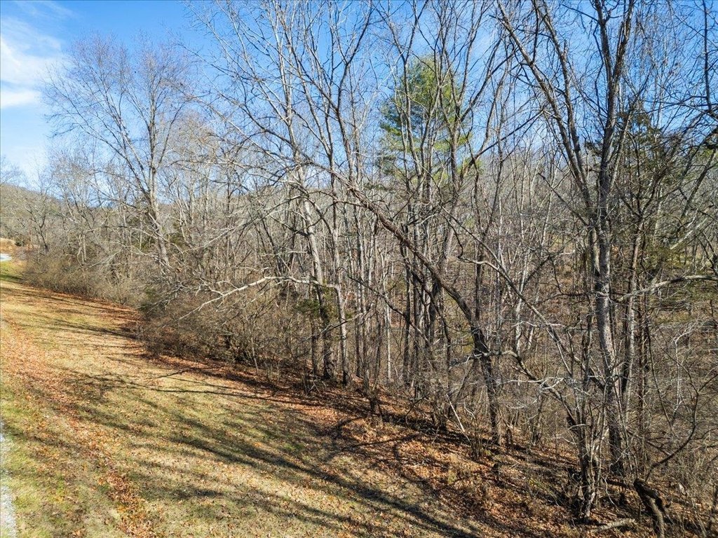 Picture 28