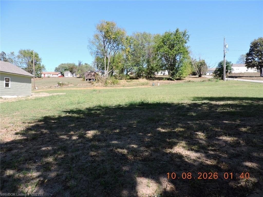 Picture 5