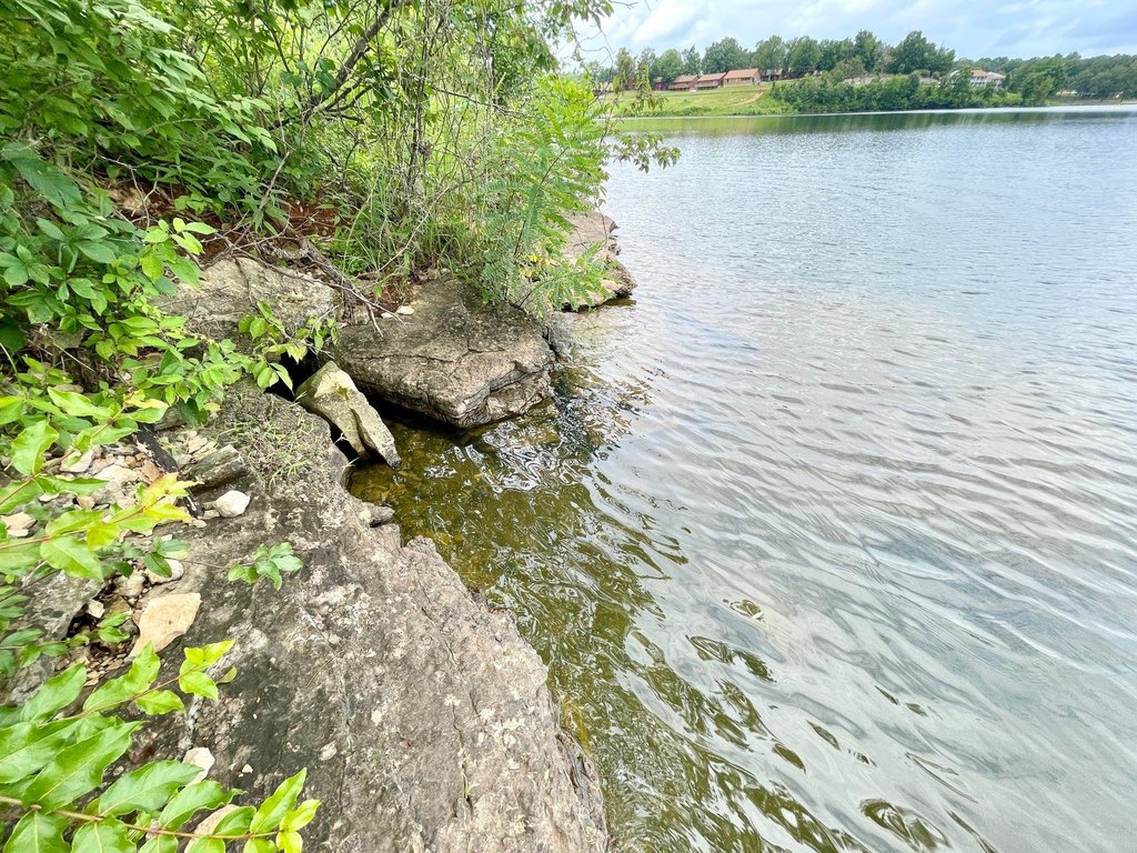 Picture 10