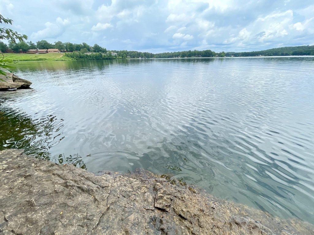 Picture 7